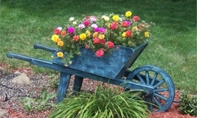 Solid Cedar Wheelbarrow Flower Planter